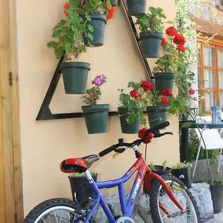 Privatunterkunft Casa Susaron