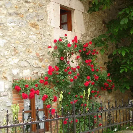 Casa Susaron *