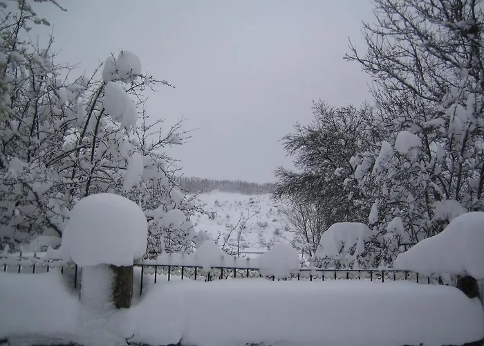 Casa Susaron Homestay *